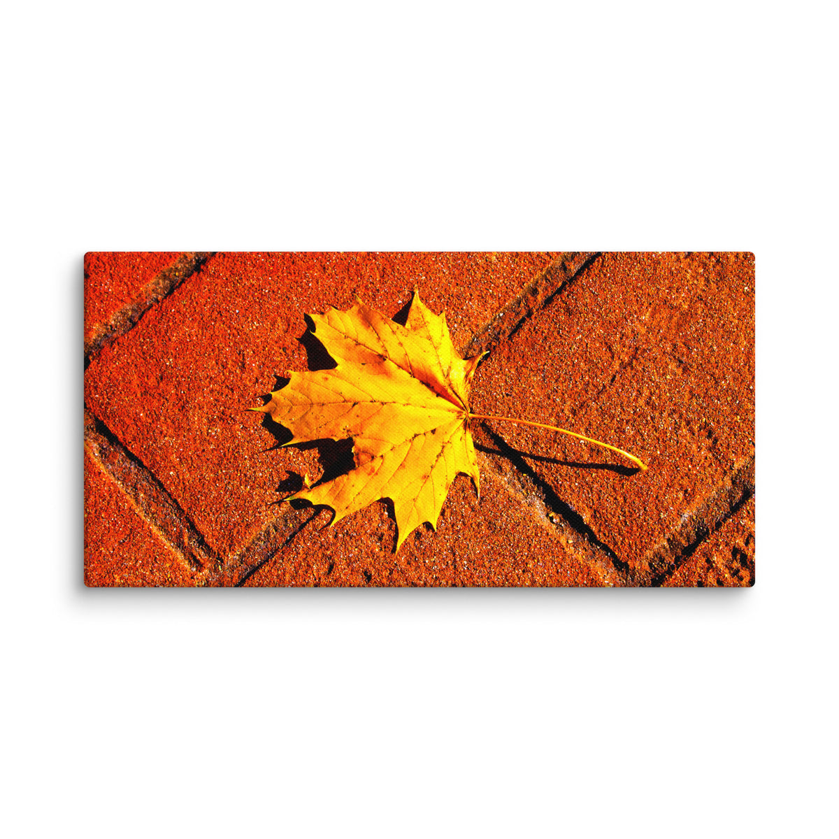 Canvas image 2