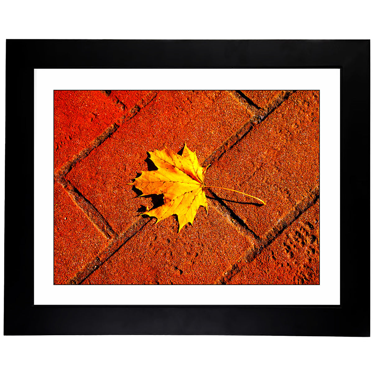 Framed Art Prints from a Secret Paradise image 0