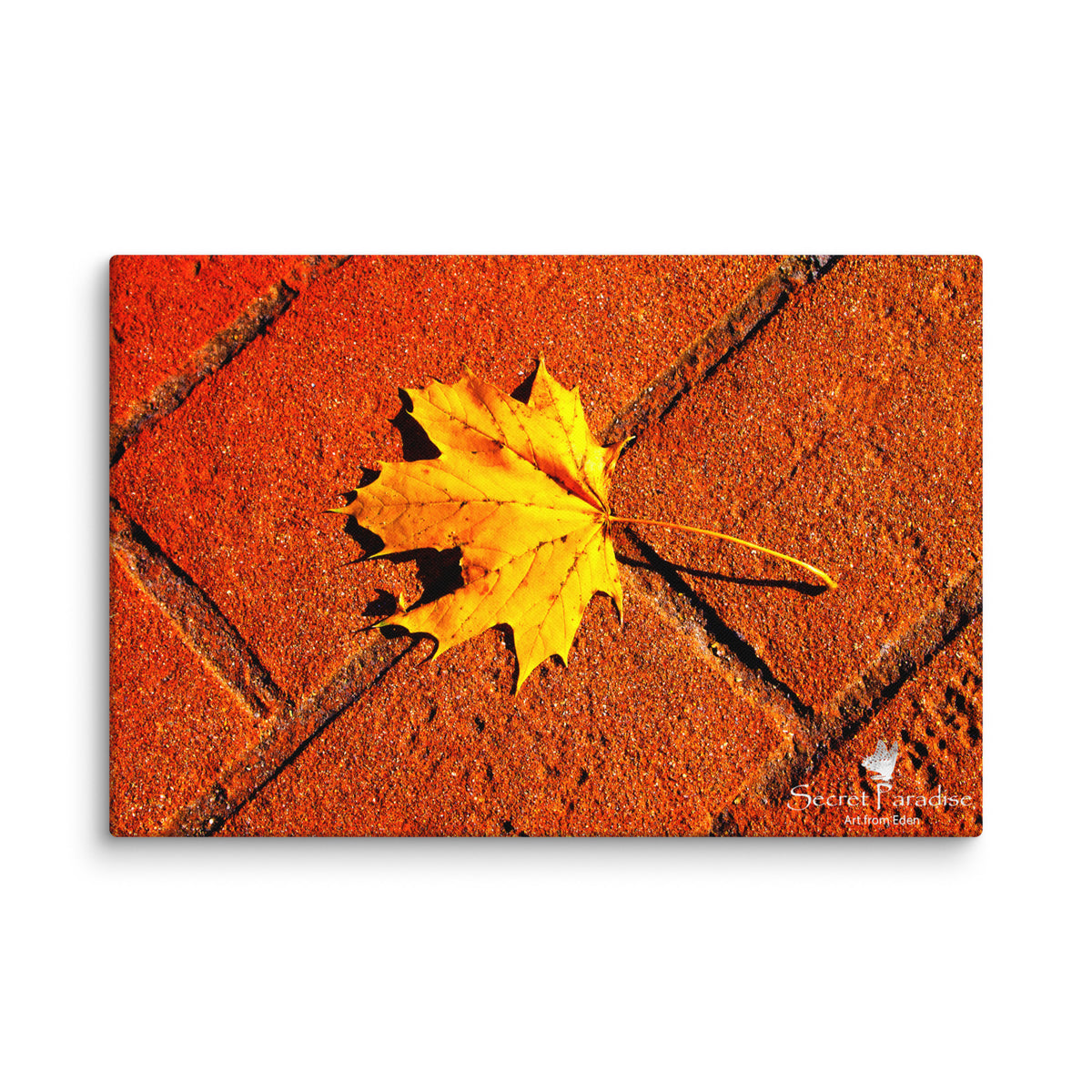 Canvas image 7