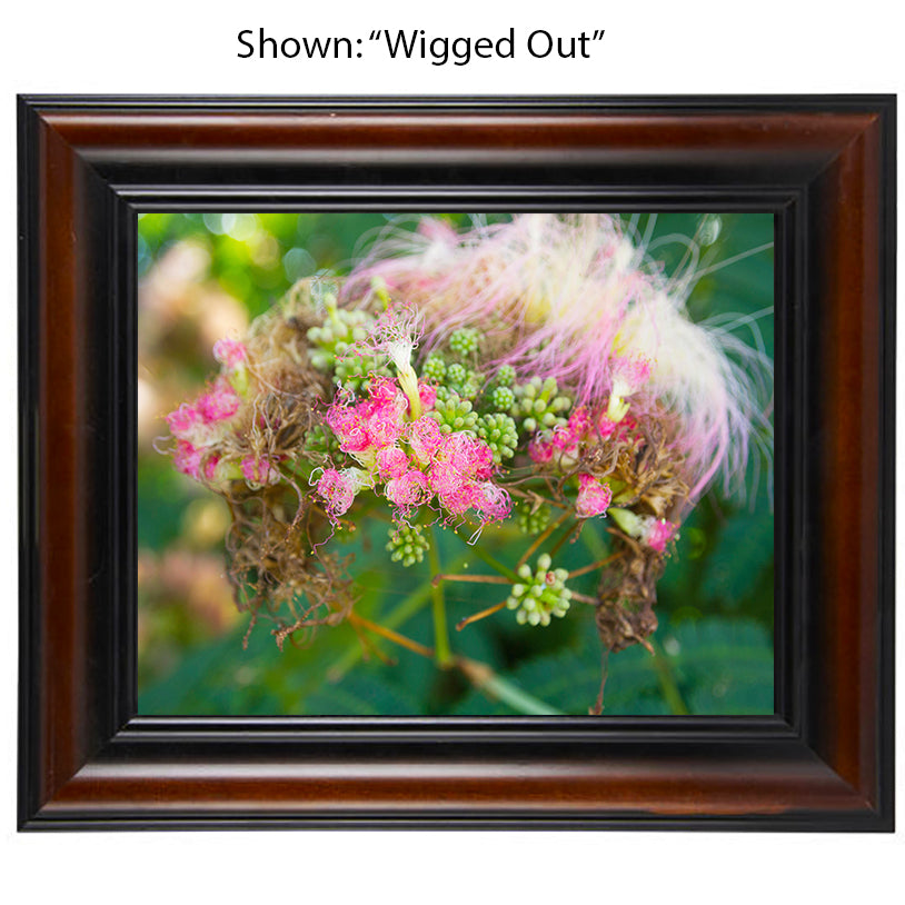 Framed Art Prints from a Secret Paradise image 0