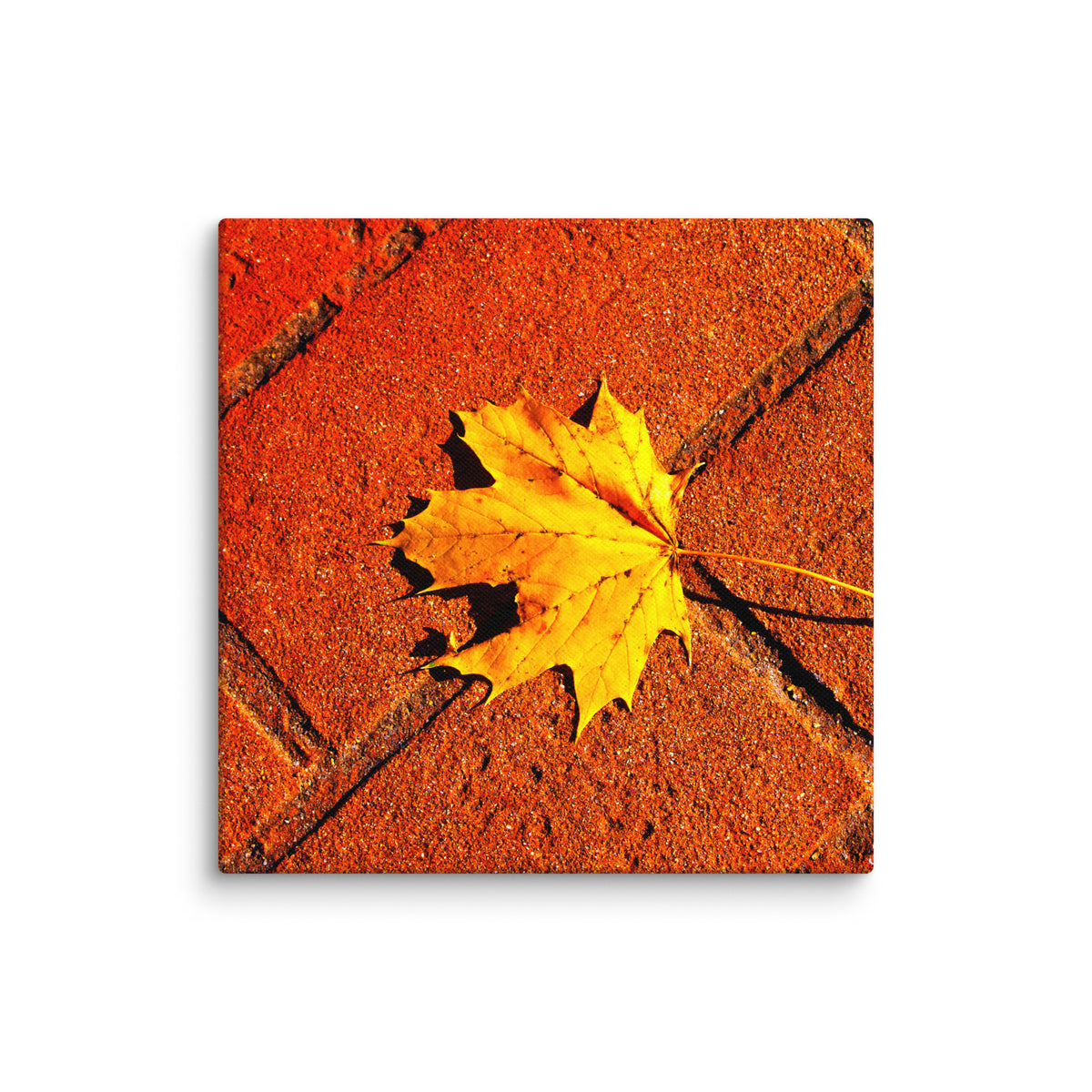 Canvas image 6