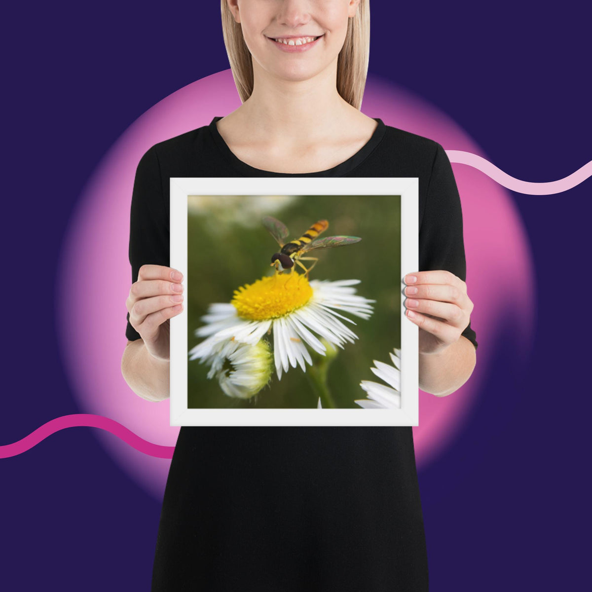 Framed poster image 13