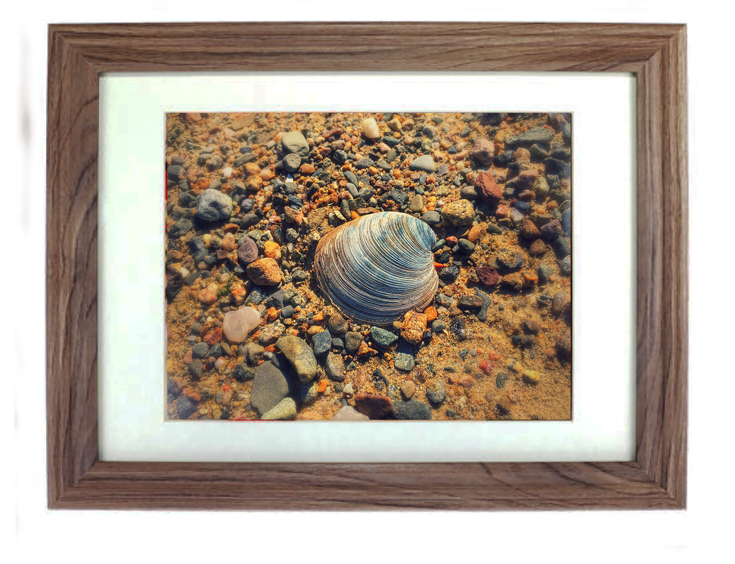 Framed Art Prints from a Secret Paradise image 0