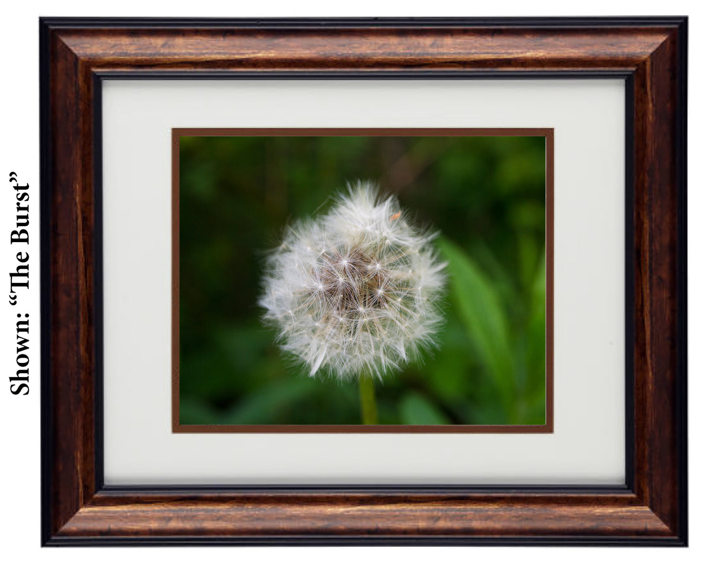 Framed Art Prints from a Secret Paradise image 0
