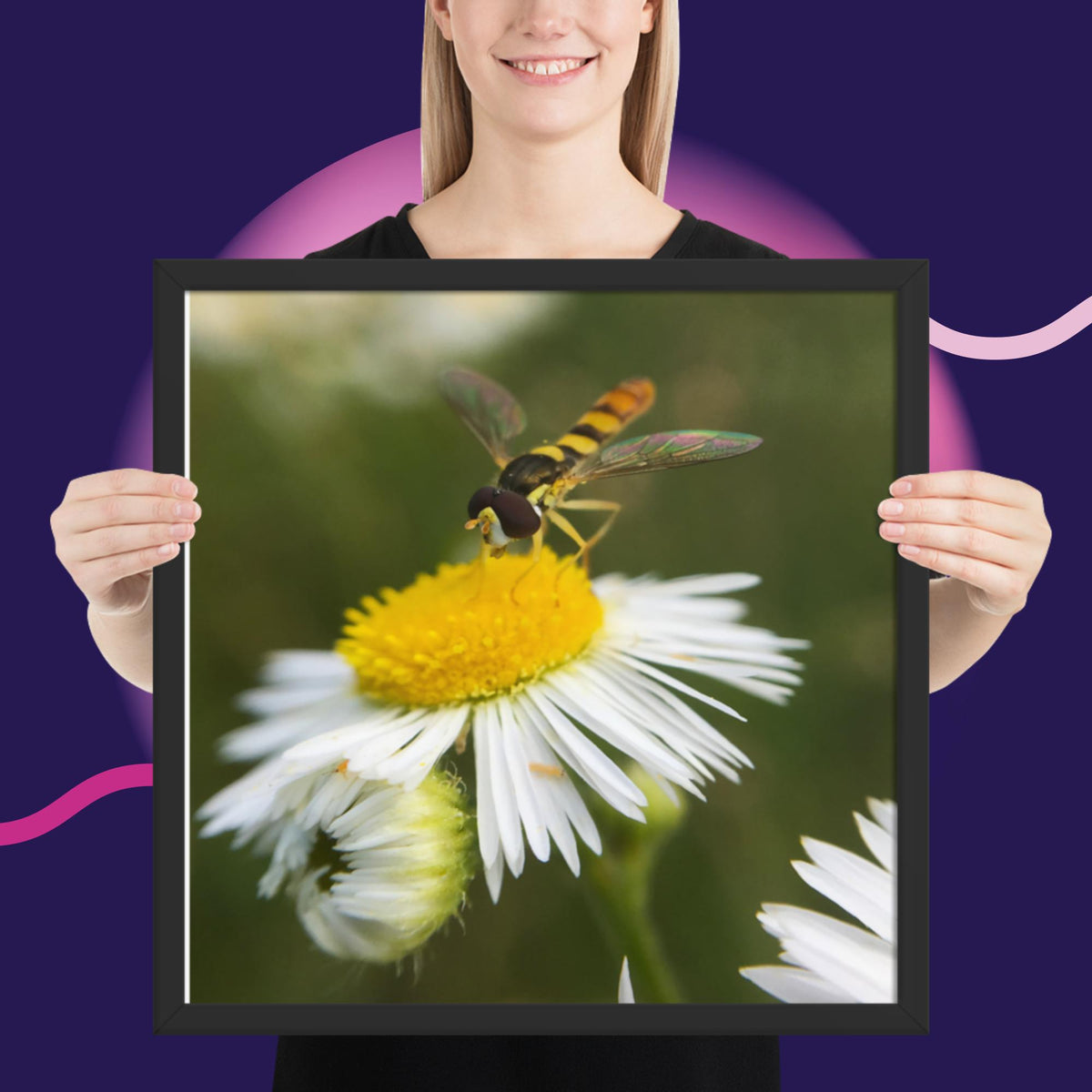 Framed poster image 10