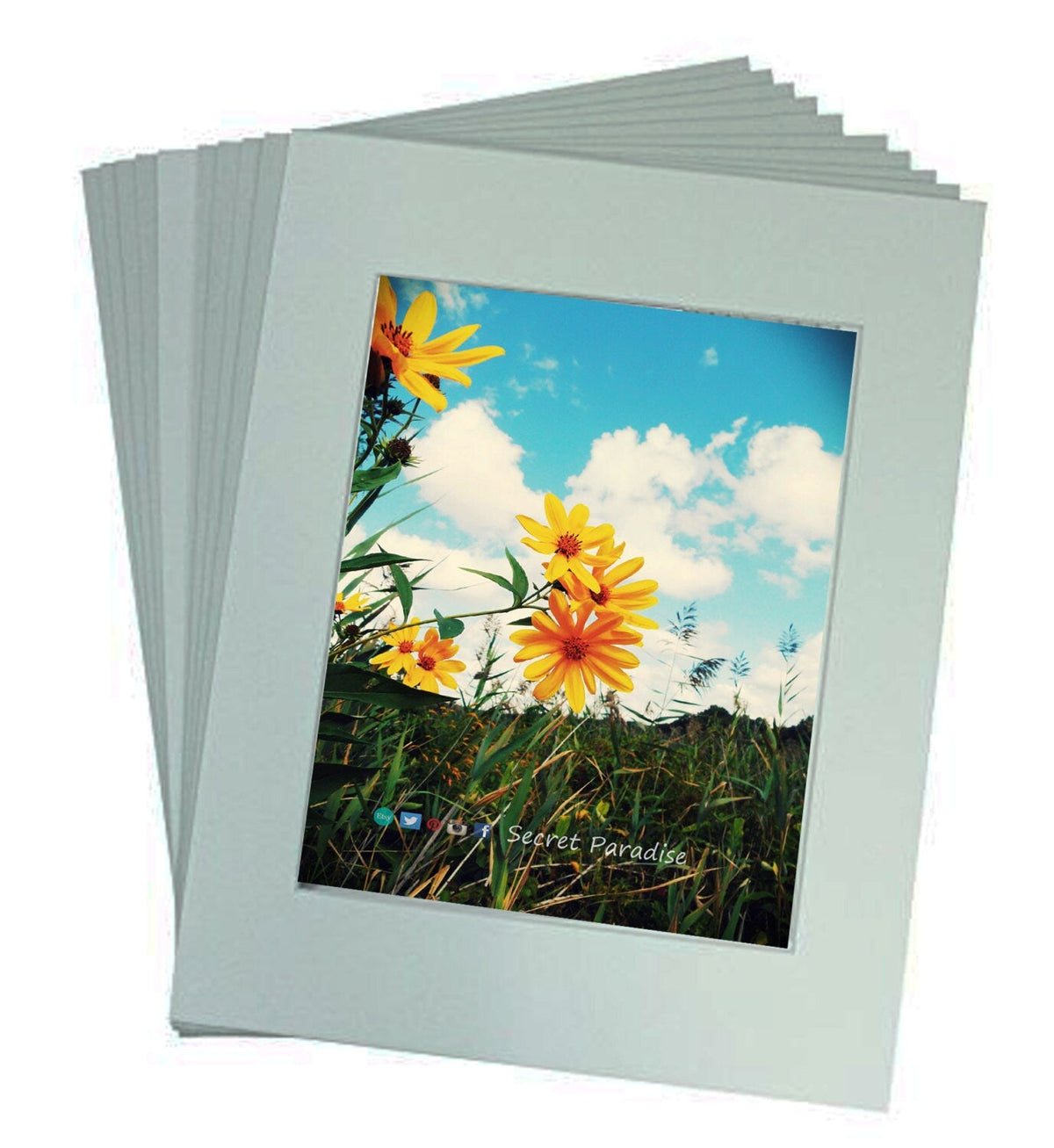 ART Prints! Secret Paradise Garden