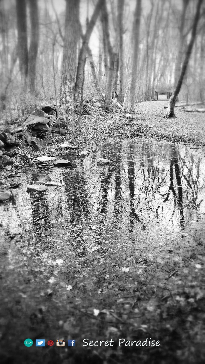 B&W from Secret Paradise Shop - the path