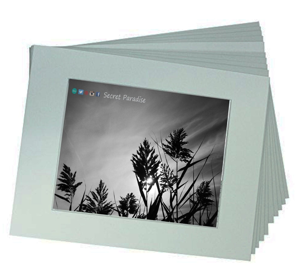 Cape Cod Prints - From a Secret Paradise - Driftwood Beach Wall Frame
