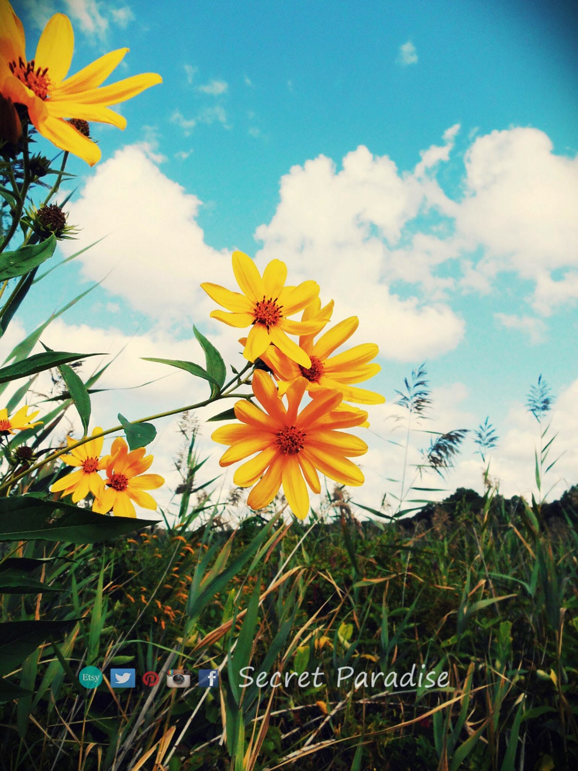ART Prints! Secret Paradise Garden