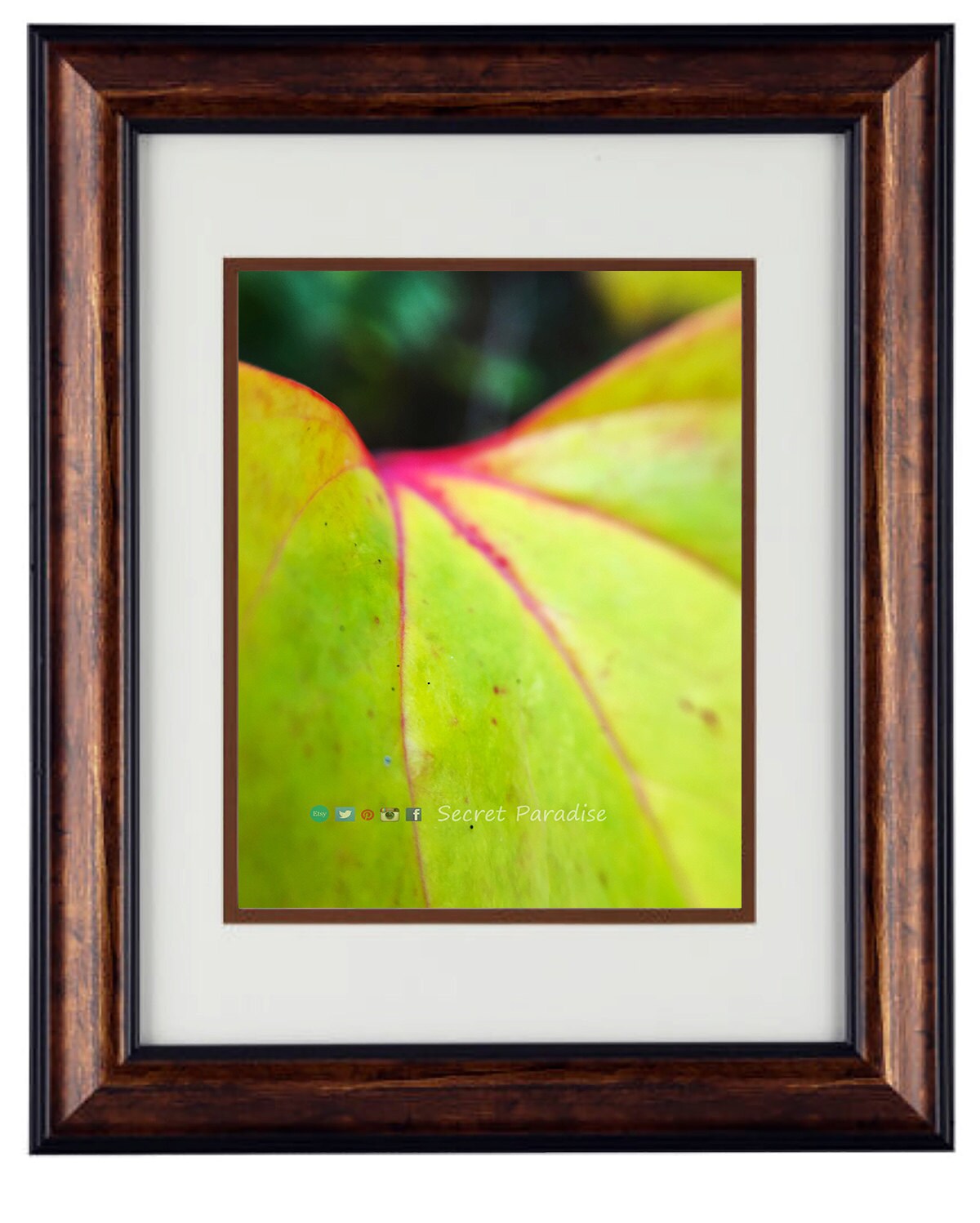 Fine Art Photography - Hardwood Framed Wall Art - at Secret Paradise