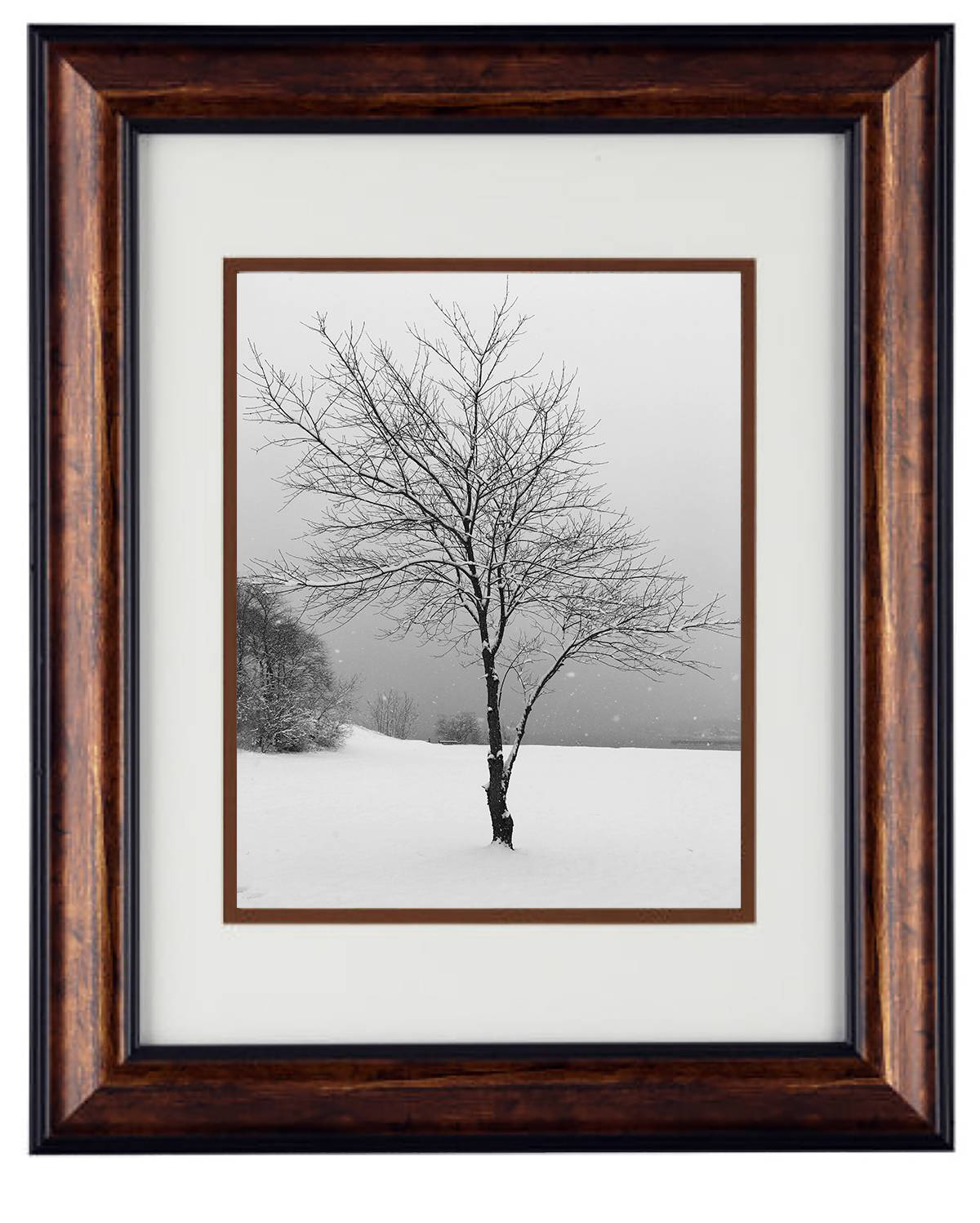 Wall Art Photography - Hardwood Wall Framed Art - Secret Paradise winter