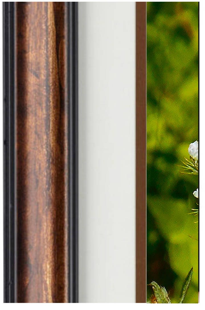 Fine Art Photography - Hardwood Wall Framed Art - Secret Paradise Trees
