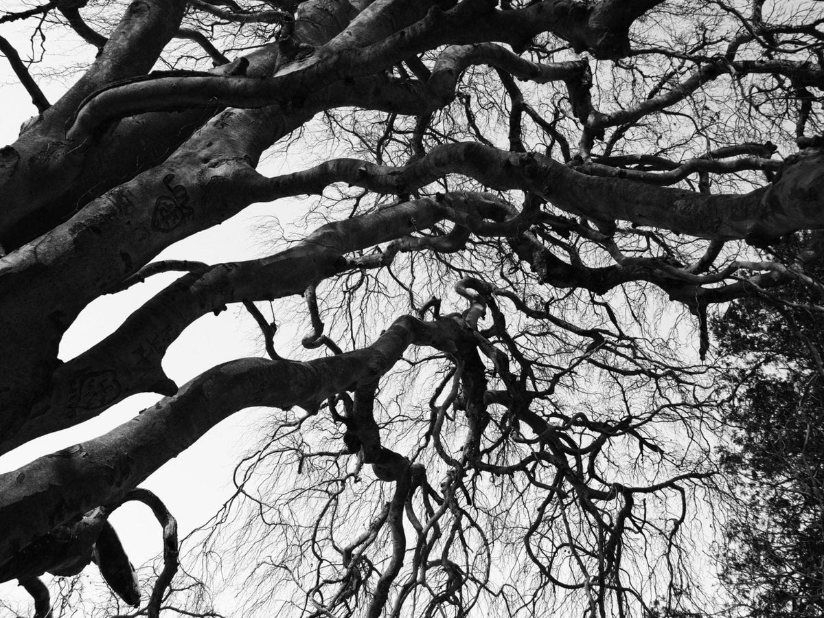 Black & White Art photography for digital download.