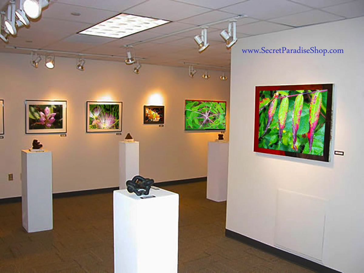 Art Prints - From a Secret Paradise - Brown Wall Frames