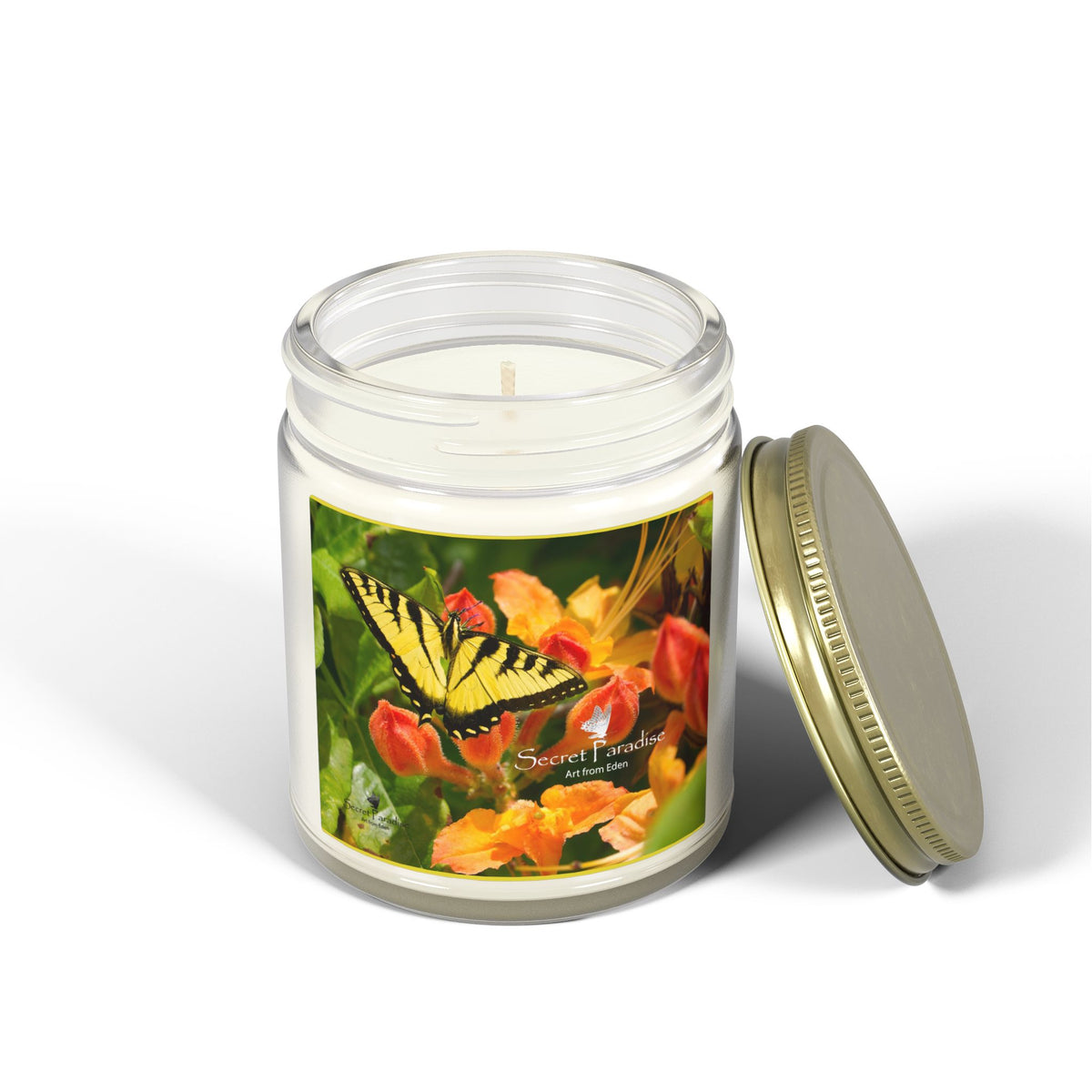Coconut Apricot Soy Candle — Floral Butterfly Scent (4oz & 9oz)