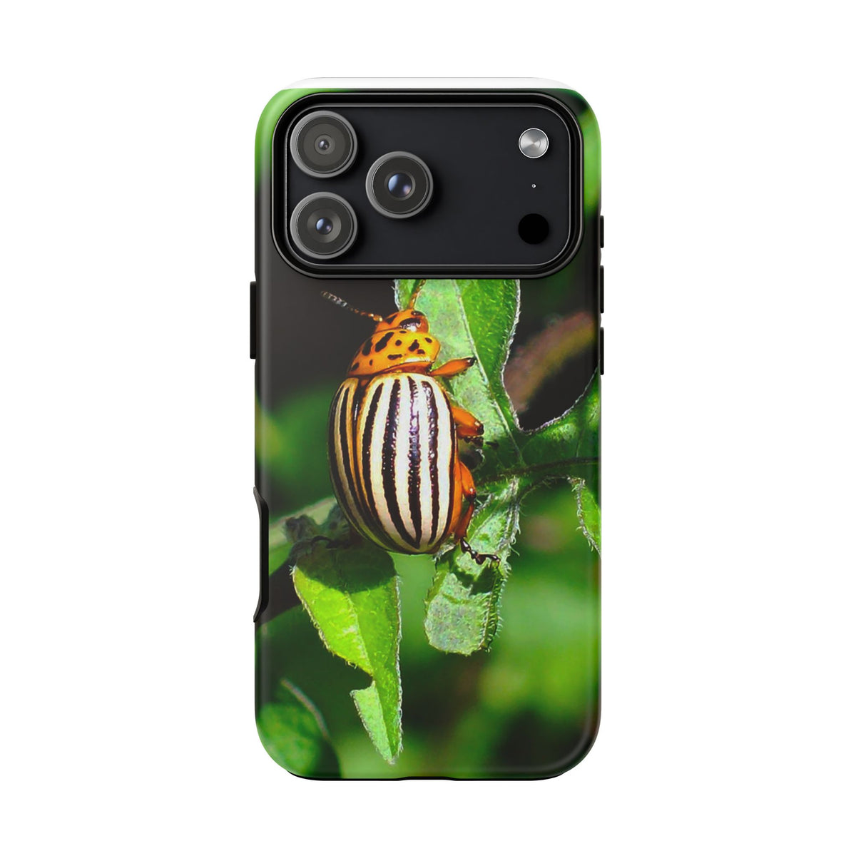 Striped Beetle Tough IPhone Case
