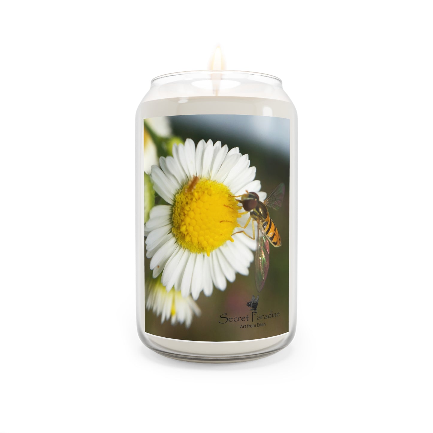 Daisy & Honeybee Scented Soy Candle — 13.75 oz
