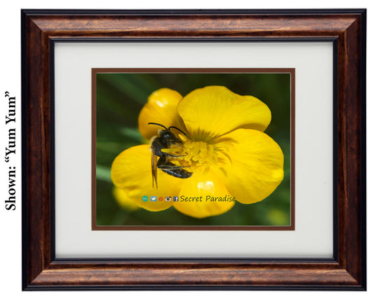 Framed Art Prints from a Secret Paradise image 0
