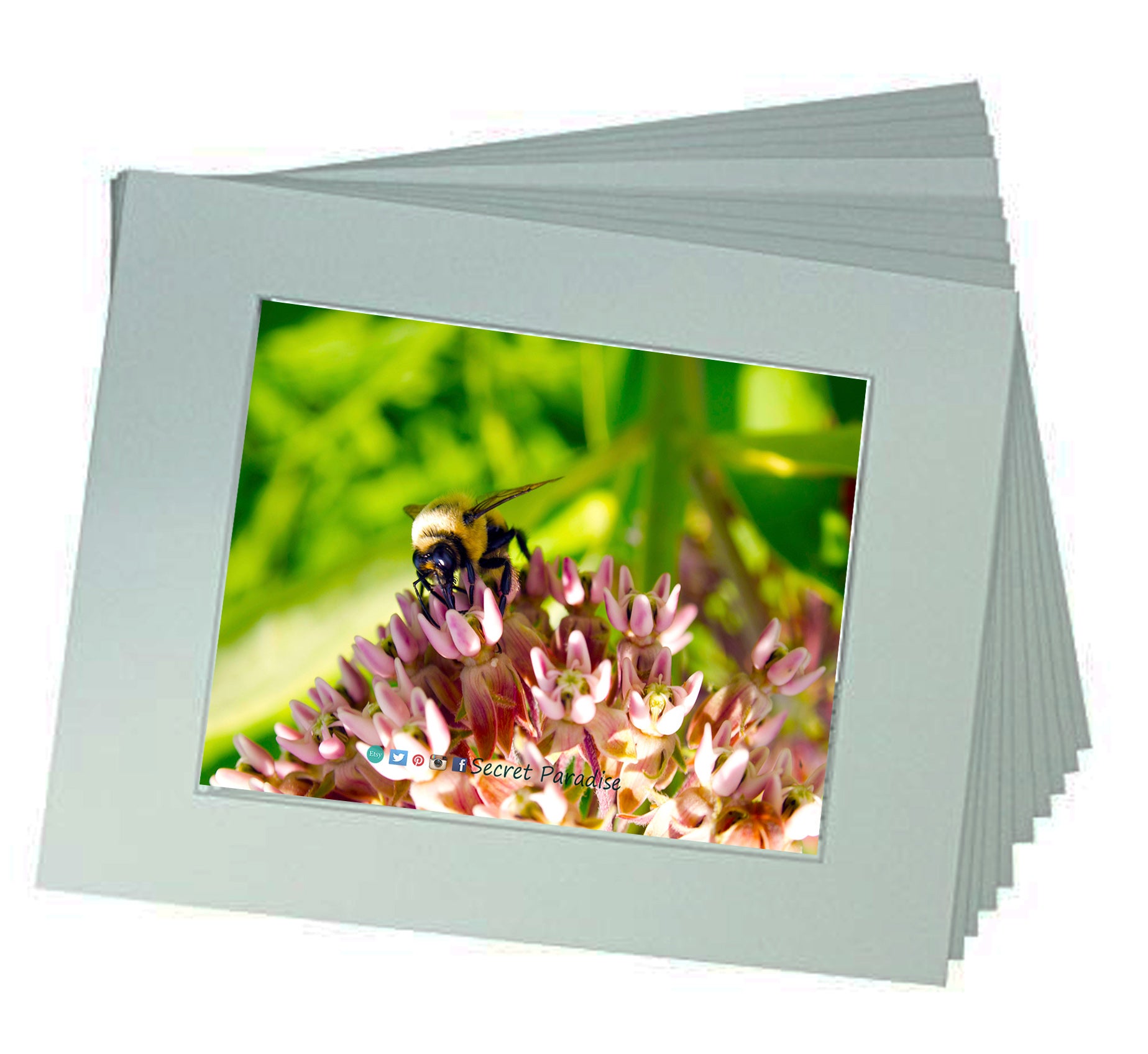 Framed Art Prints from a Secret Paradise image 1