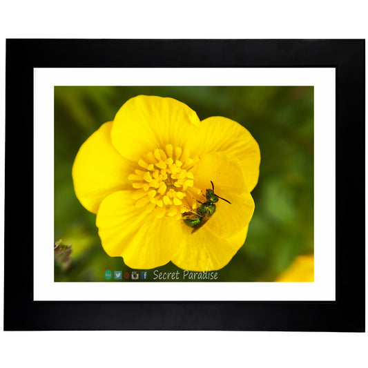 Framed Art Prints from a Secret Paradise image 0