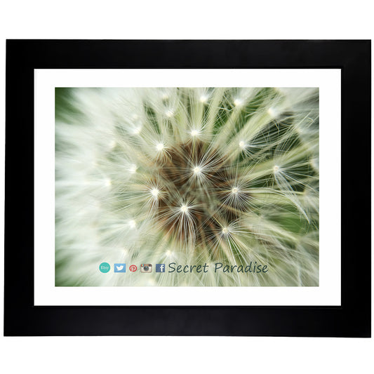 Framed Art Prints from a Secret Paradise image 0