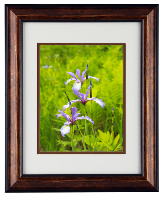 Art Prints framed from a Secret Paradise image 0