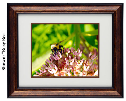 Framed Art Prints from a Secret Paradise image 0