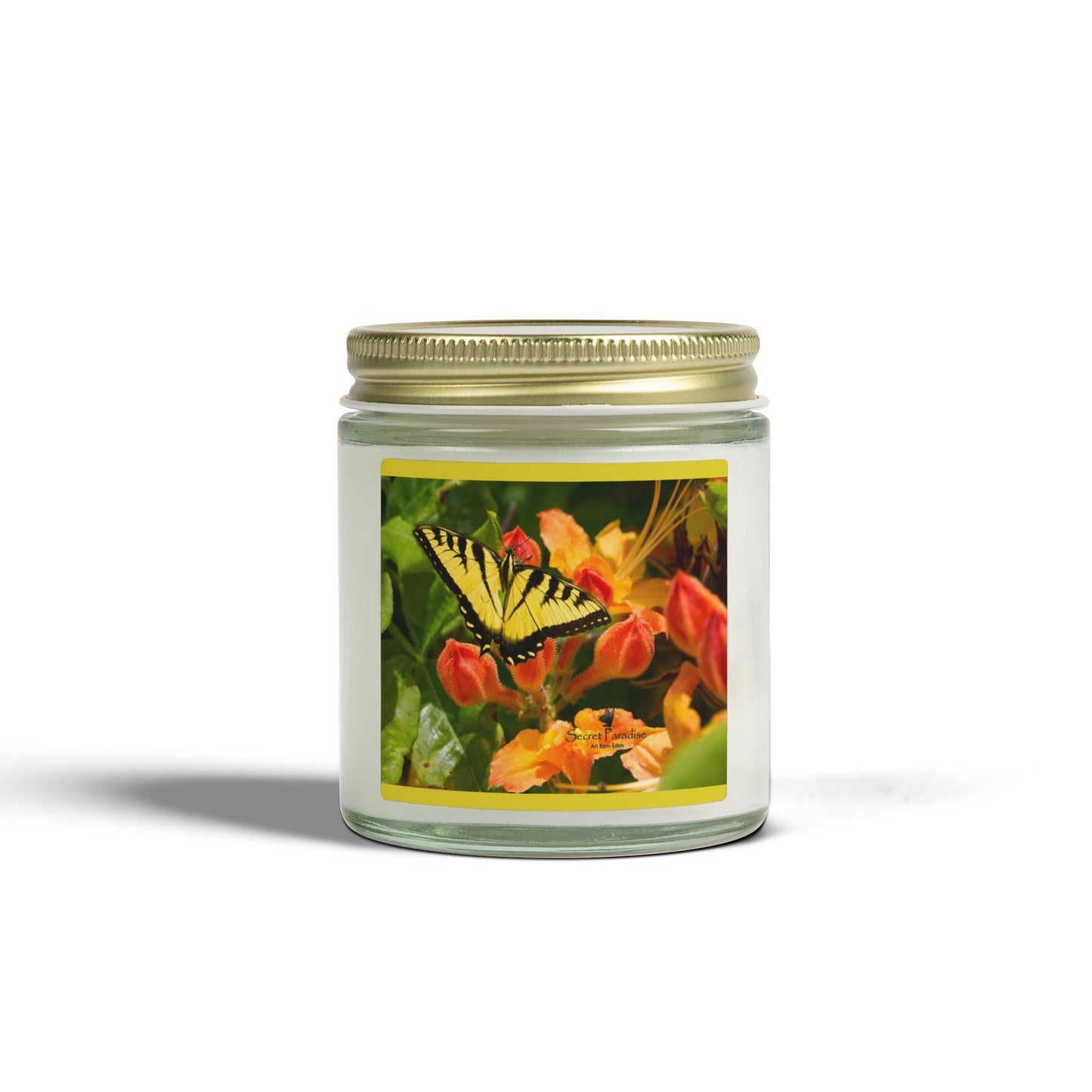 Coconut Apricot Soy Candle — Floral Butterfly Scent (4oz & 9oz)