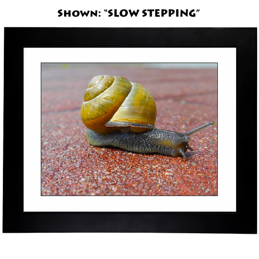 Framed Art Prints from a Secret Paradise image 0