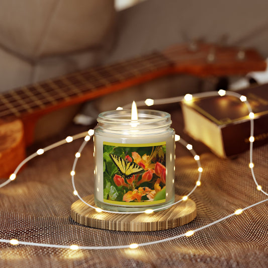 Coconut Apricot Soy Candle — Floral Butterfly Scent (4oz & 9oz)