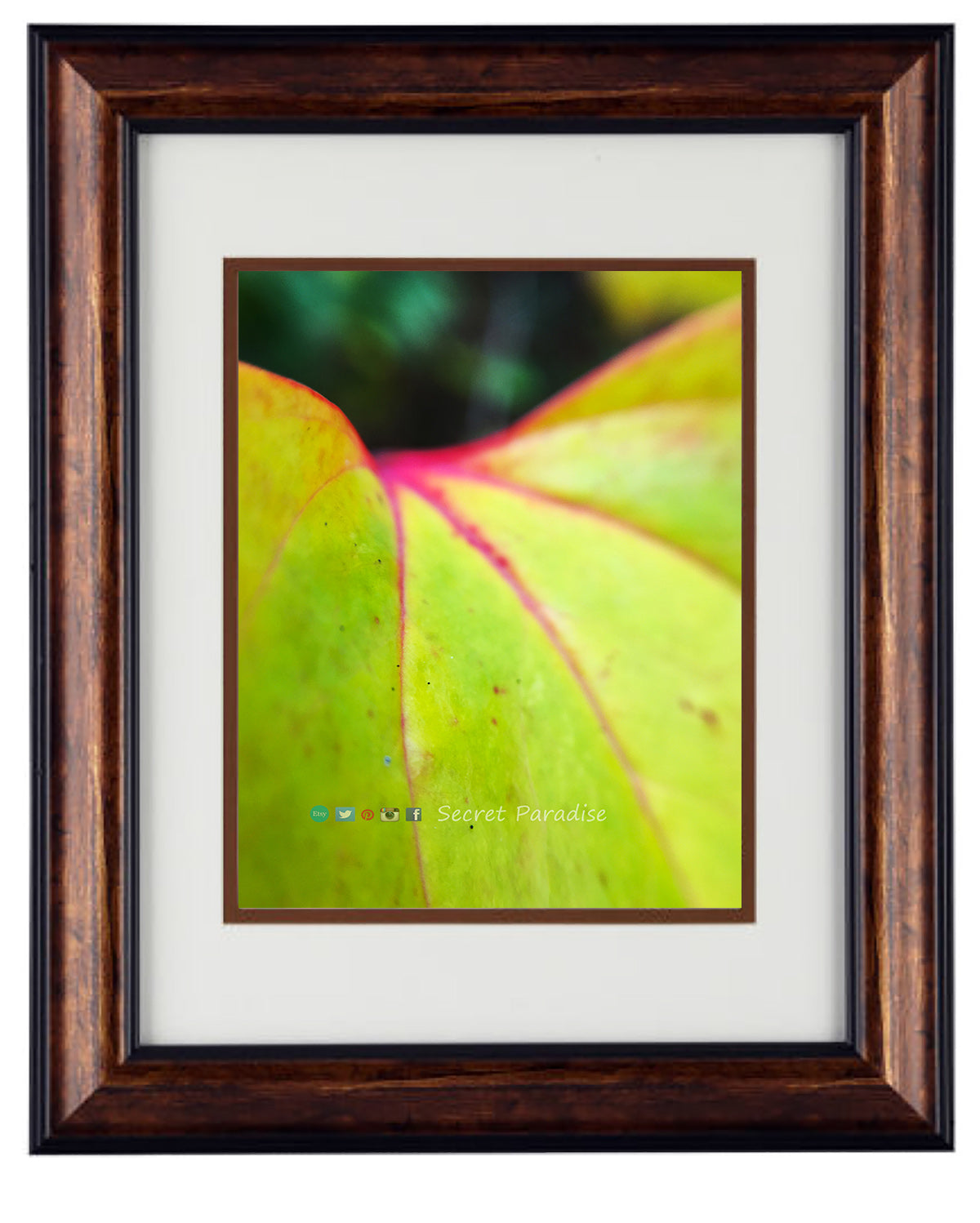 Art Prints framed from a Secret Paradise image 0