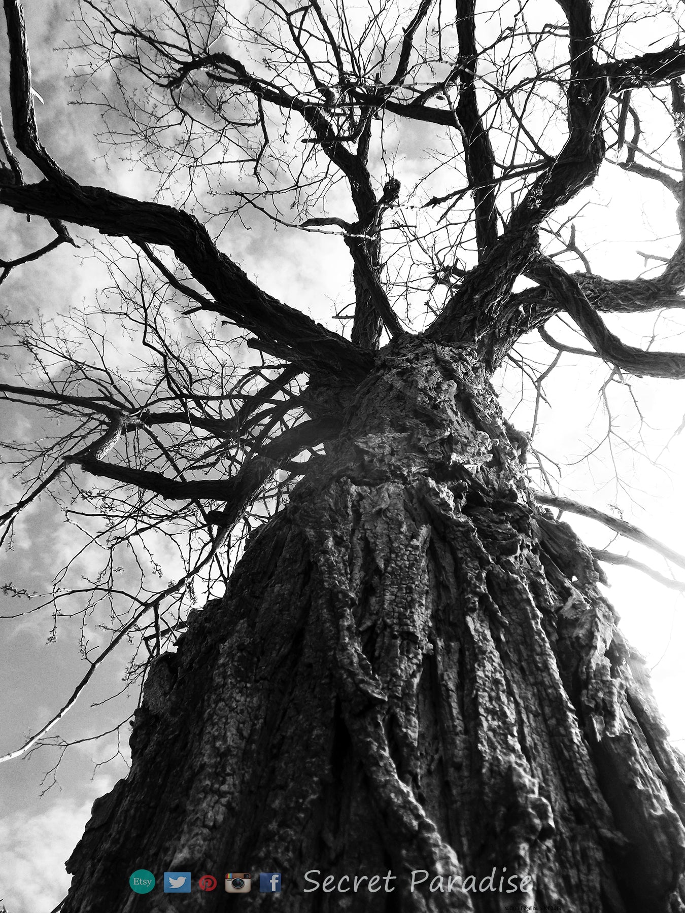 Black & white Art Prints from a Secret Paradise image 1