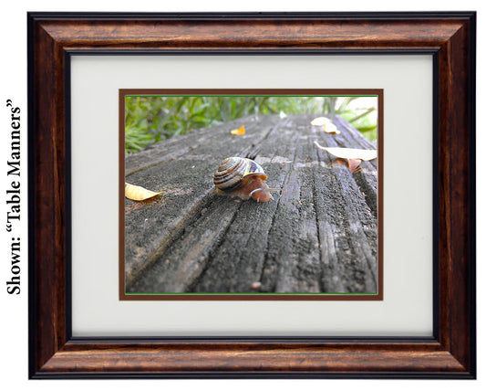 Framed Art Prints from a Secret Paradise image 0