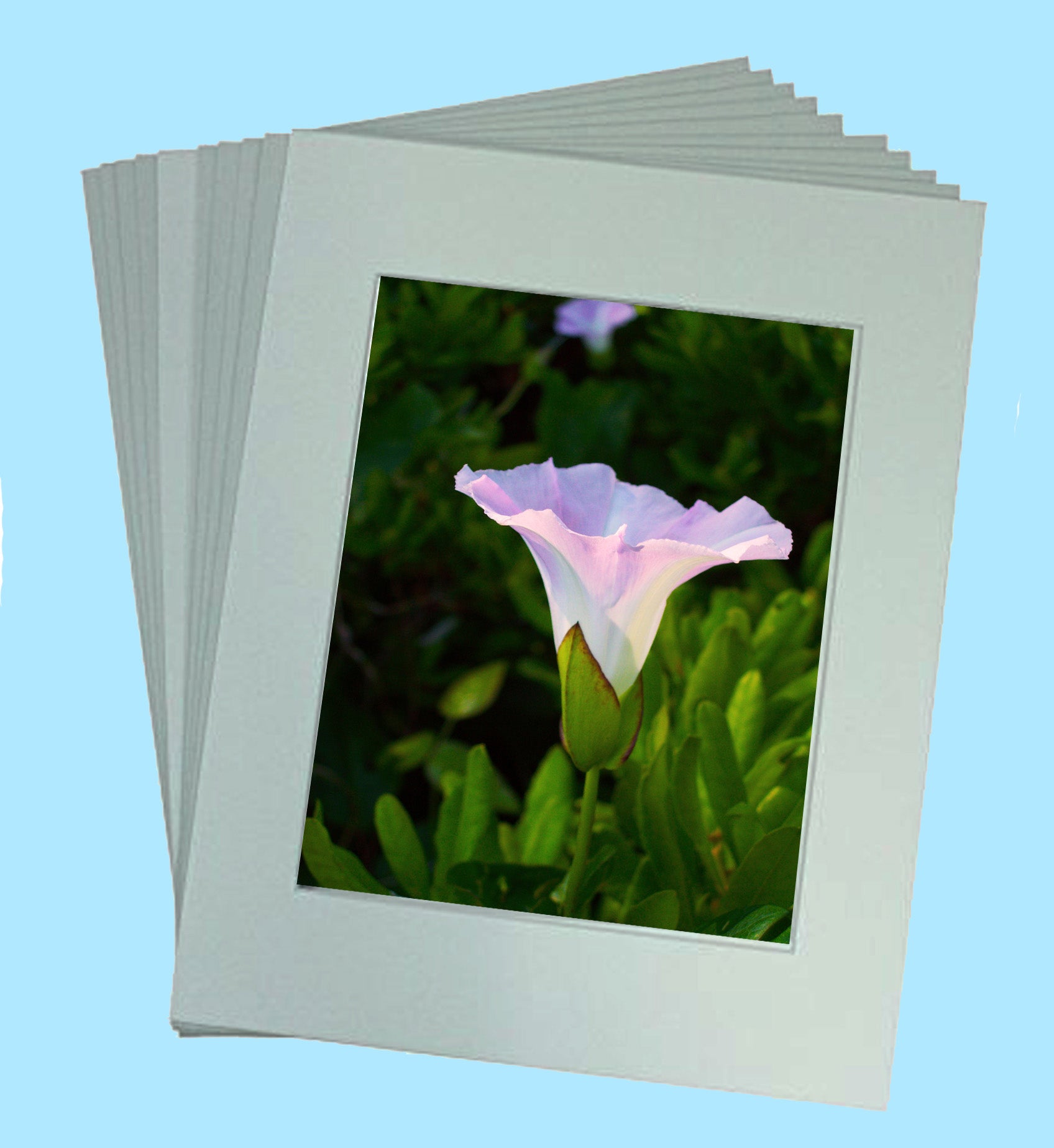 Framed Art Prints from a Secret Paradise image 1