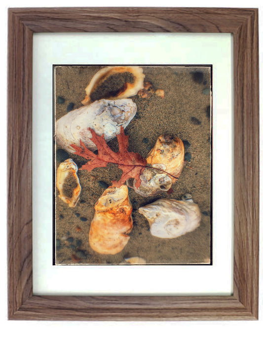 Framed Art Prints from a Secret Paradise image 0