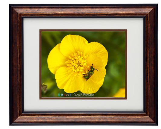 Framed Art Prints from a Secret Paradise image 0