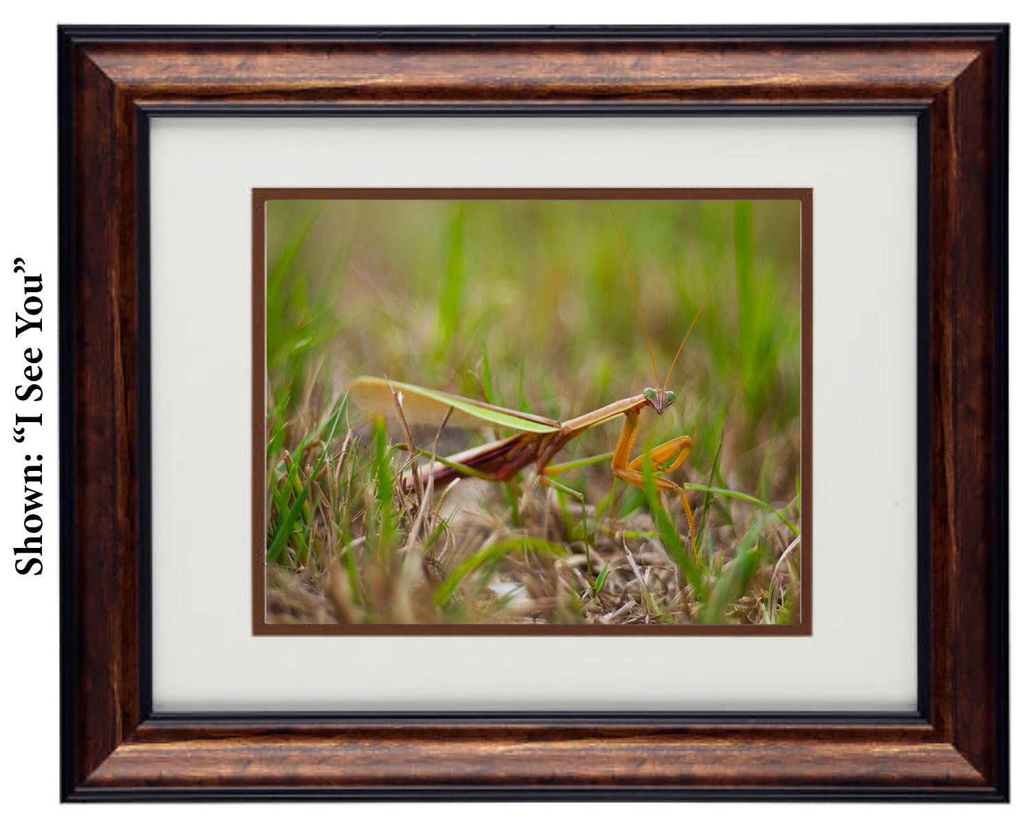 Framed Art Prints from a Secret Paradise image 0