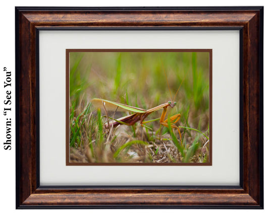 Framed Art Prints from a Secret Paradise image 0