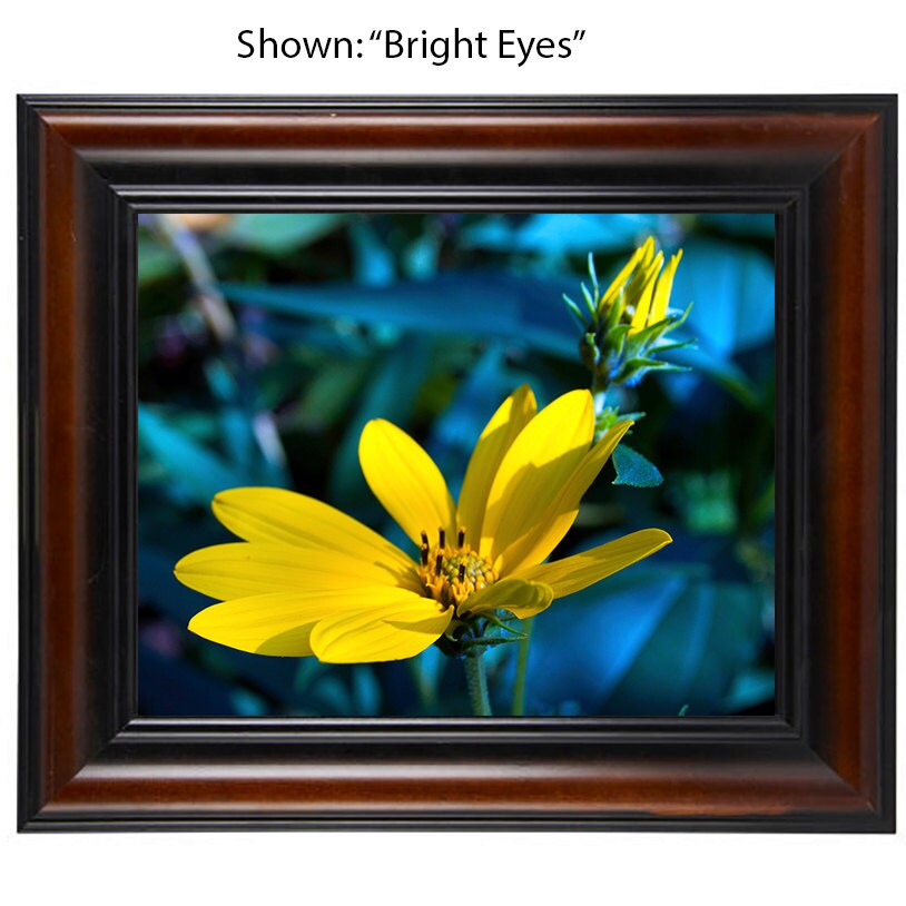 Art Photography - From a Secret Paradise - Cherry Framed Art - Babies
