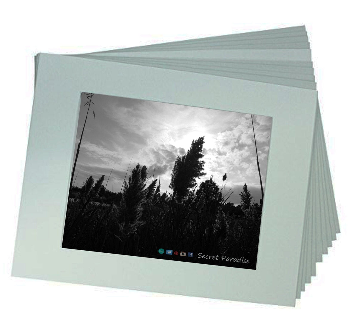 Black & White Art Photography - From a Secret Paradise gallery - Framed Tree Art