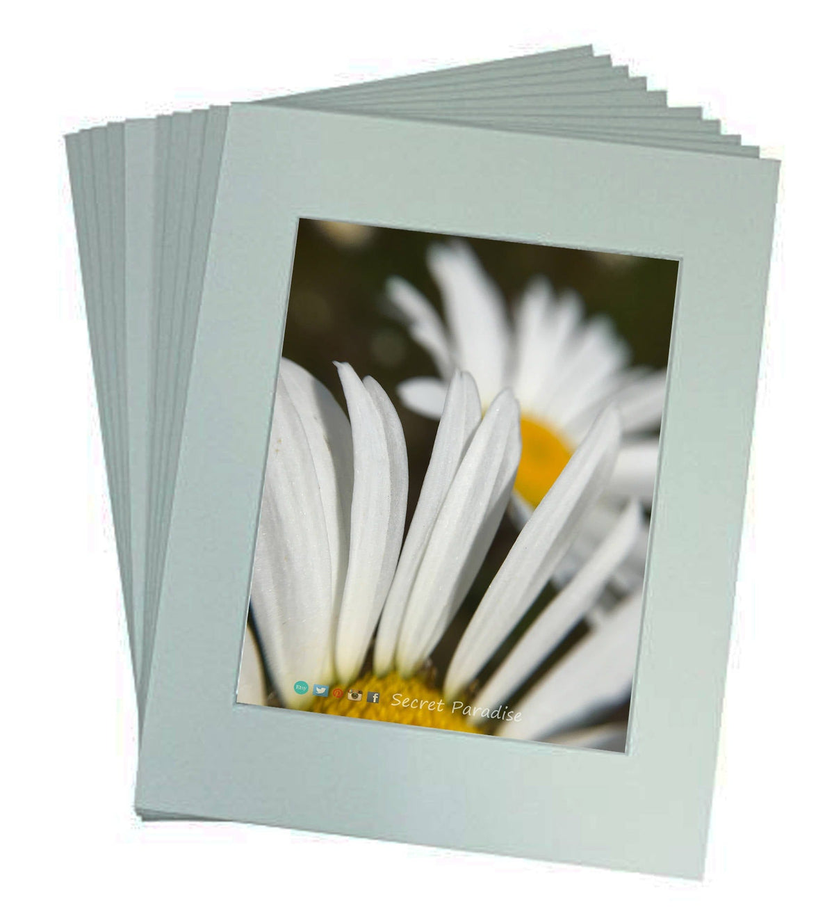 Nature Wall Art Prints from a Secret Paradise Garden