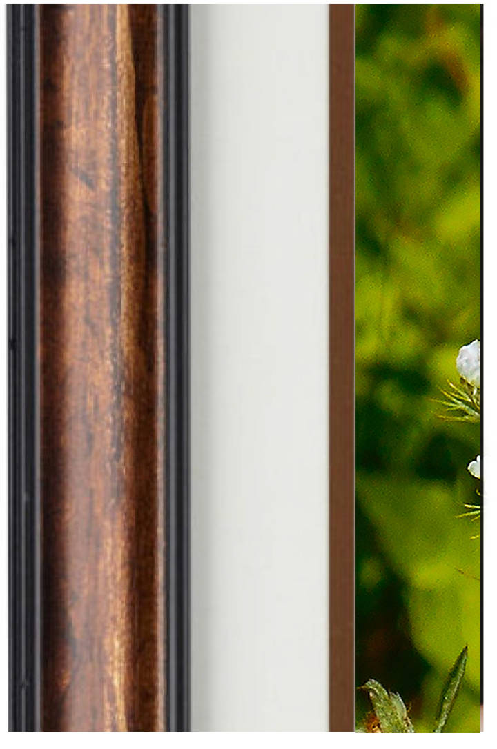 Fine Art Photography - Hardwood Wall Framed Art - Secret Paradise1