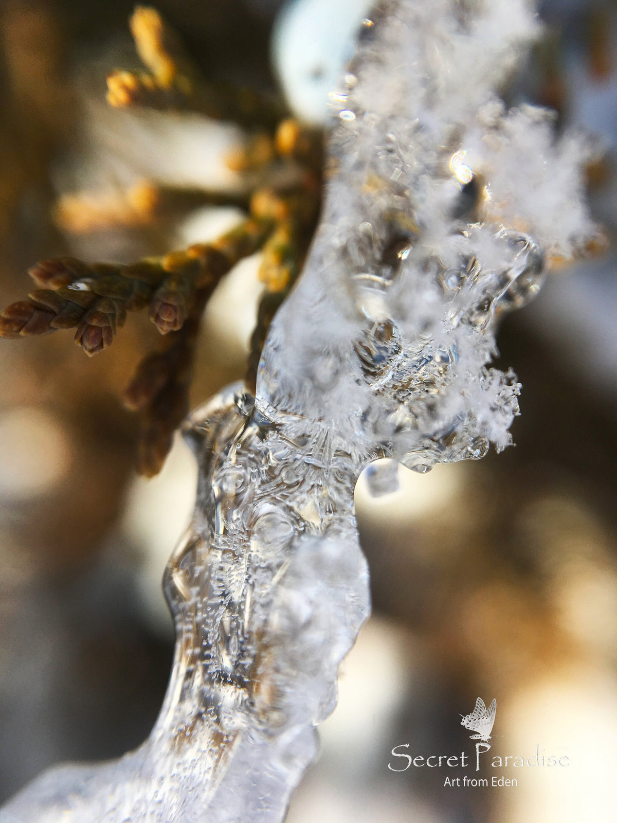Printable Digital Art Shots -Winter