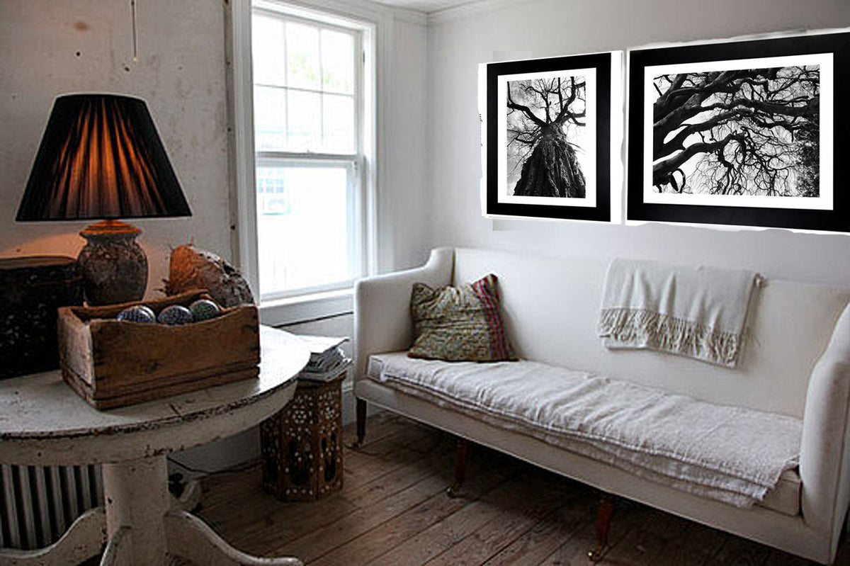 Black & White Art Photography - From a Secret Paradise - Framed Tree Art